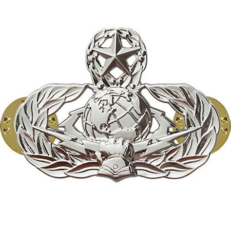 Air Force Badge Cyberspace Support Master Regulation Size Vanguard