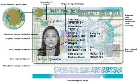 Your previous card was lost, stolen, mutilated, or destroyed; U.S. Citizenship and Immigration Services Permanent Resident Green Card Authenticity Guide ...