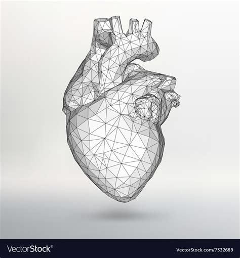Creative Concept Background Of The Human Heart Vector Image