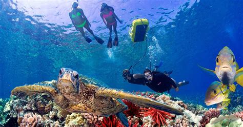 Honolua Sailing Tickets Discount On Snorkeling At Honolua Maui