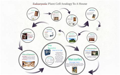 Animal cell analogy to a house. Eukaryotic Plant Cell Analogy To A House by Jasmin Duran