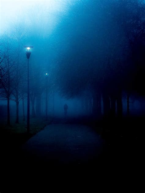 Alone In The Fog Night Aesthetic Blue Aesthetic Alone In The Dark