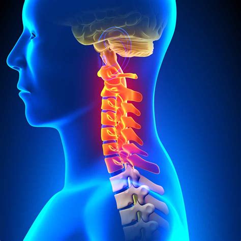 Coluna Vertebral E Cervical