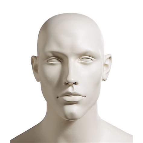 Male Mannequin Head 804 Quick Delivery Mannequins Uk