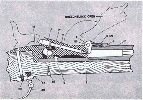 Model Rifle Firearms Assembly Bev Fitchett S Guns Magazine