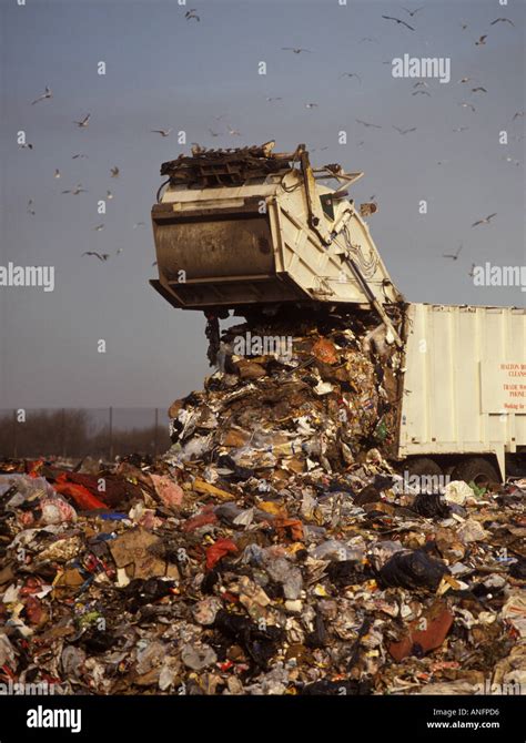 Domestic Refuse Being Unloaded From Truck In Arpley Landfill Site