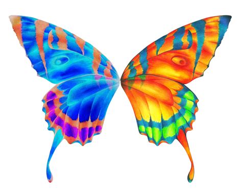 Butterfly Wings By Moonaftermidnight On Deviantart Butterfly Wings Butterfly Illustration