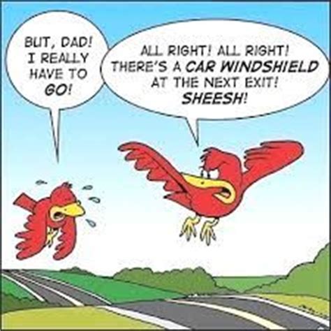 We will clean you out. 1000+ images about Funny Car Wash on Pinterest | Car wash ...