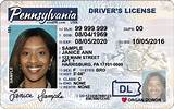 Photos of How To Find Old Driver License Number