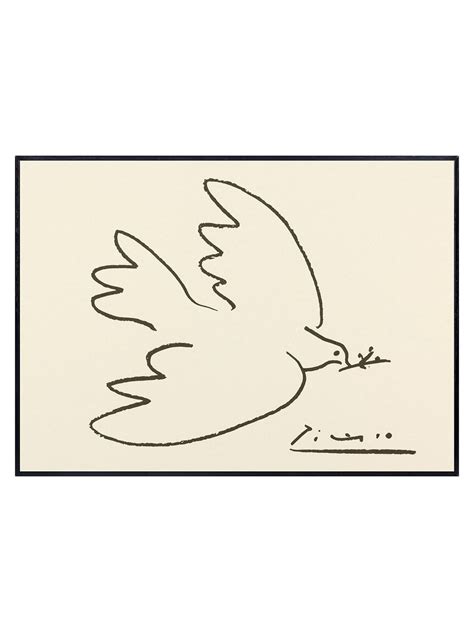 Pablo Picasso Dove Of Peace By Mcgaw Graphics At Gilt Picasso Dove Of