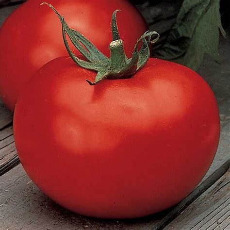 10 Essential Tomato Planting Tips For A Bountiful Harvest