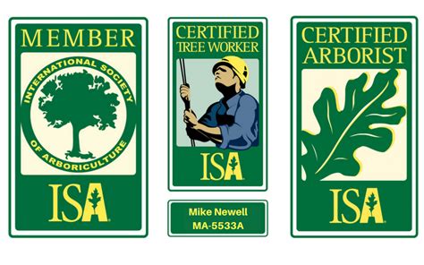 Certified Arborist Mikes Tree Service