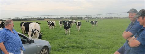 Ale Australias Livestock Exporters Australian Dairy Cattle Exports