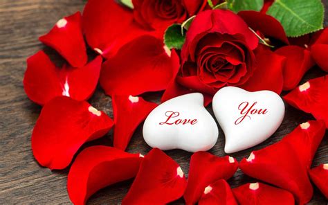 Free Download Love Flowers Amp Romantic Flowers Wallpapers Best
