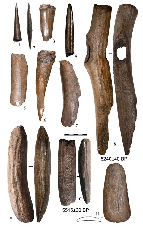 Bone And Antler Tools From The Palanga Site Bone Arrowheads 1 2