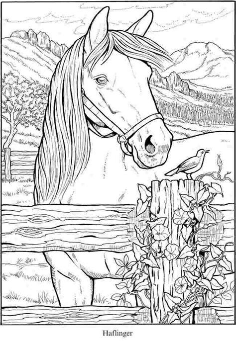 Printable Coloring Sheets Horses Horse Coloring Pages Only Horse