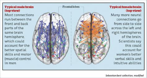Sexual Differences Regarding Alzheimers Disease A Narrative Review