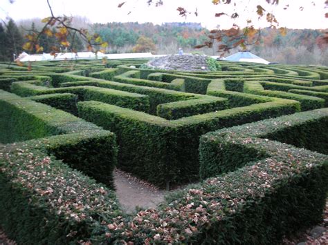 Hedge Maze Leeds Castle England Garden Hedges Famous Gardens