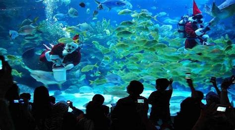 Top Malaysia Sightseeing Attractions Aquaria Klcc Is Said To Be The