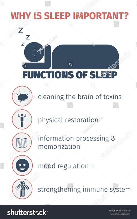 Sleep Infographic Importance Sleep Functions Flat 库存矢量图（免版税）231692548