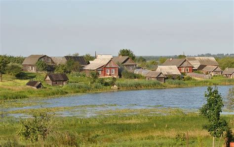 A Herd Of Sheep Grazing On Top Of A Lush Green Field Next To A River