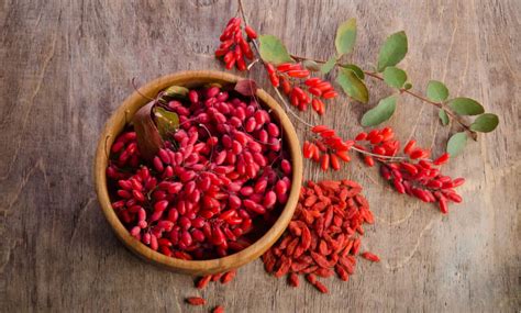 Goji Berry Nutrition Facts Benefits And Side Effects Healthifyme
