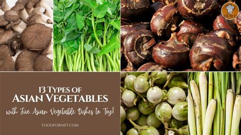 13 Types Of Asian Vegetables With Five Asian Vegetable Dishes To Try Food For Net