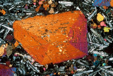 Thin Section Through An Alkali Gabbro Essexite Showing Large Sector