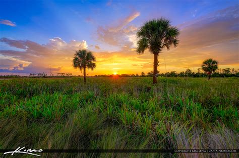 Florida Landscape Sunset Wetlands Jupiter Farms Northern Palm Beach