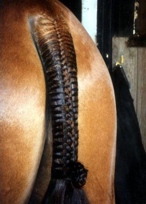 This technique does indeed use hairs from horses; 30 Amazing Horse Tail Braids Ideas to make Your Friends ...