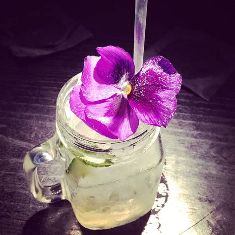 Cocktail Blume Trinken Kostenloses Foto Auf Pixabay Pixabay