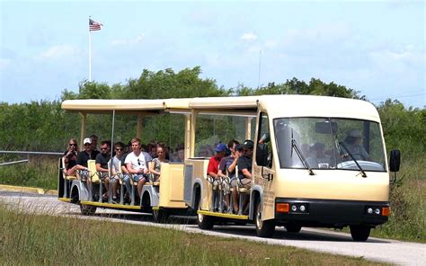 Shark Valley Tram Tours Greater Miami And Miami Beach