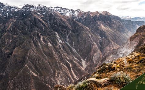 Colca Canyon Peru Guide Tours Hiking Maps Buildings Facts And