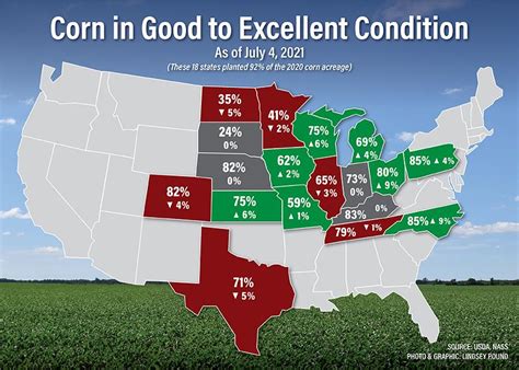 Usdas Weekly Report Shows Us Corn Conditions Held Steady Soybeans