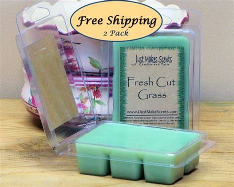 Fresh Cut Grass Scented Wax Melts 2 Pack With Free Shipping Etsy