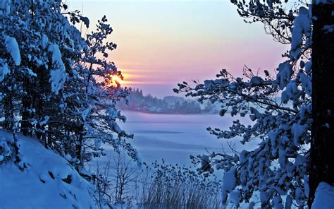 Winter Morning Snow Sunrise Trees Wallpaper Nature And Landscape