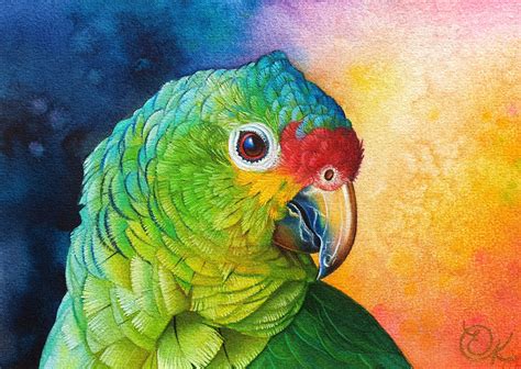 Amazon Parrot Original Painting Bird Watercolour Portrait Bird Art A5