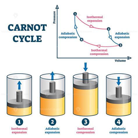 Carnot Cycle Vector Illustration Physics Concepts Basic Physics Physics