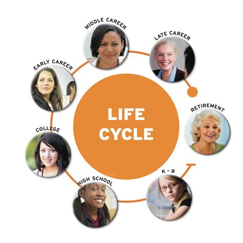 The human life cycle begins at fertilization, then birth, and progresses through infancy, childhood, puberty, adulthood and aging, ending in death. Family Life Cycle, Retirement or Senior Stage of Life