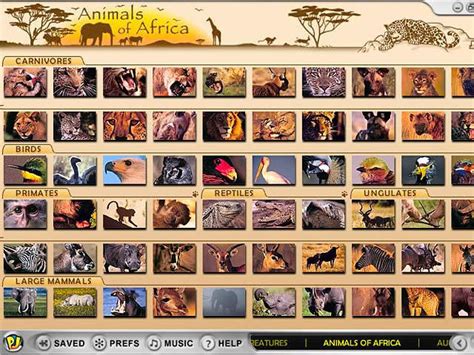 Full Animals Of Africa Version For Windows