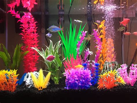 Colorful Glofish Tank Glofish Tank Fish Aquarium Decorations Fish Tank Decorations