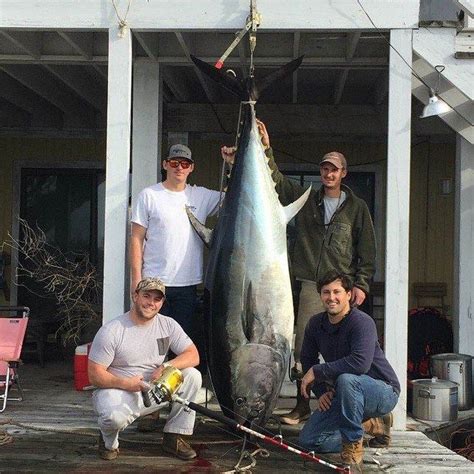 Fishermen Catch 95 Inch Bluefin Tuna Offshore Of Carolina Beach