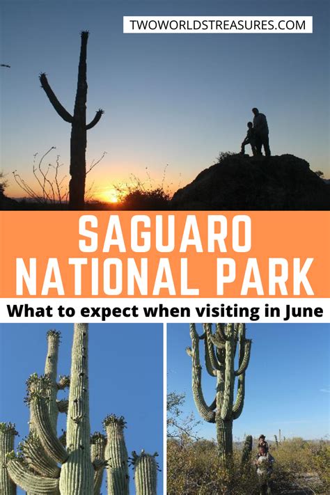 Visiting Saguaro National Park In June Two Worlds Treasures