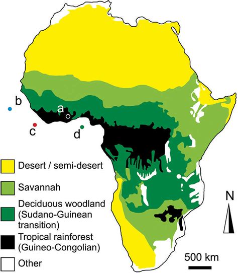 Simplified Map Of The Distribution Of Modern Vegetation Biomes Across