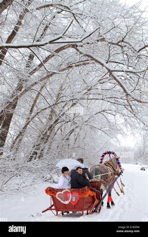 Married Couple Returns Home In Their One Horse Open Sleigh In Snowfall