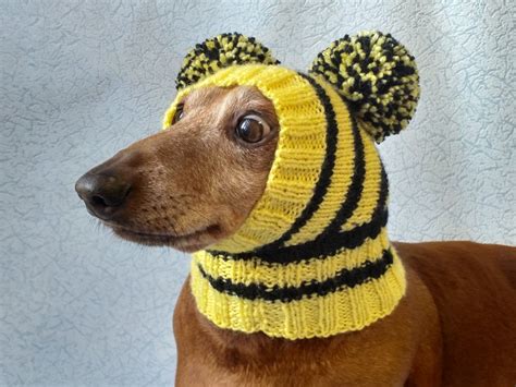 Bee Knitted Hat For Dachshund With Two Pompons Knitted Hats Warm
