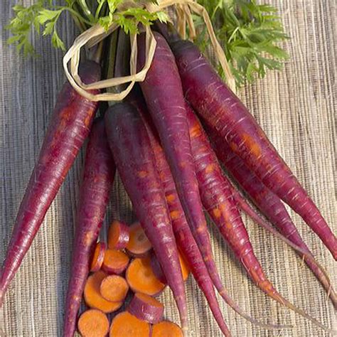 Purple Carrot Garden Seeds 1 Lb Bulk Heirloom Non Gmo Vegetable