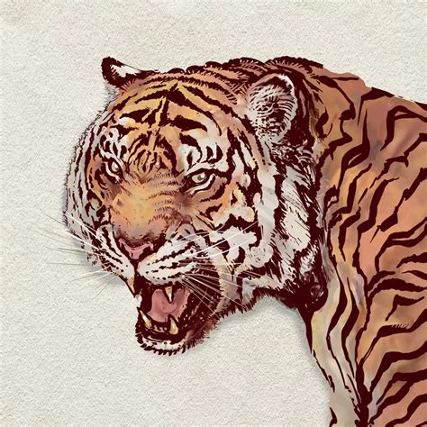 Jumping Roaring Tiger Illustrations I High Resolution Designs