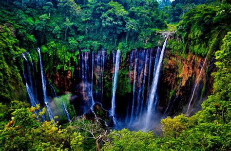 The Exotica Paradise Cliff At A Glance Tumpak Sewu Waterfall