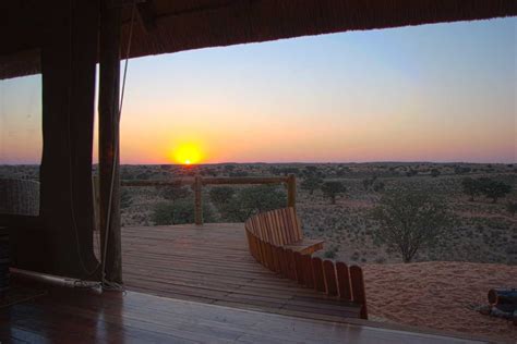 rooiputs lodge kgalagadi transfrontier park botswana